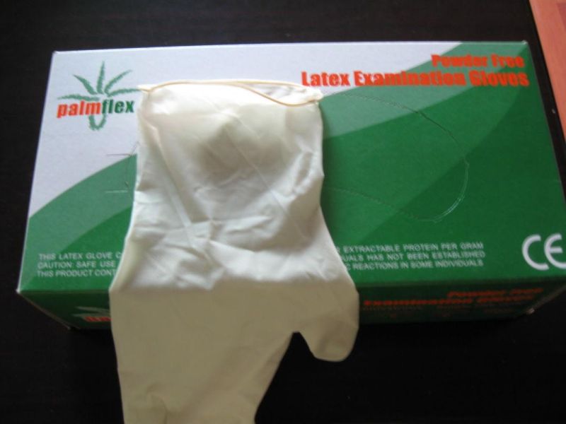 Hot Sale Dental Fancy Powder Free Latex Examination Gloves