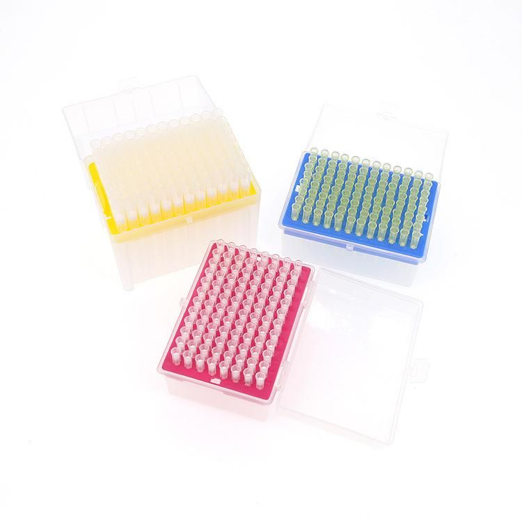 DNA-Free Rna-Free White Yellow Blue 96 Wells 100 Wells Rack Filter Pipette Tips