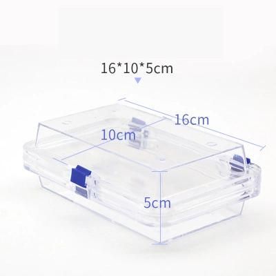 Oral with Membrane Tooth Box Dental Inlay Tooth Denture Protective Film Tooth Box Can Be Printed Logo Dental Transparent Denture Box