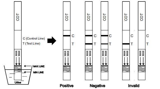 Wholesale CE ISO Approved Drug of Abuse Nicotine/Cotinine Test (Cotinine) Test