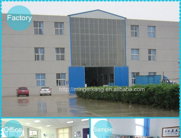 Xiantao Hubei MEK Disposable Surgical 2 Ply PP Nonwoven Mask