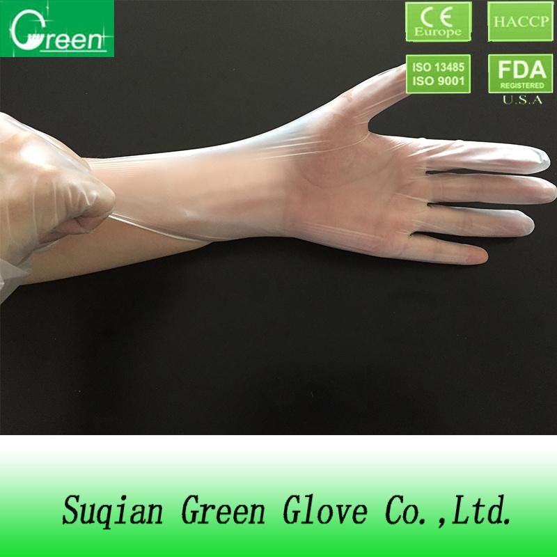 Clear Powder/Powder Free Disposable Vinyl Gloves (ISO