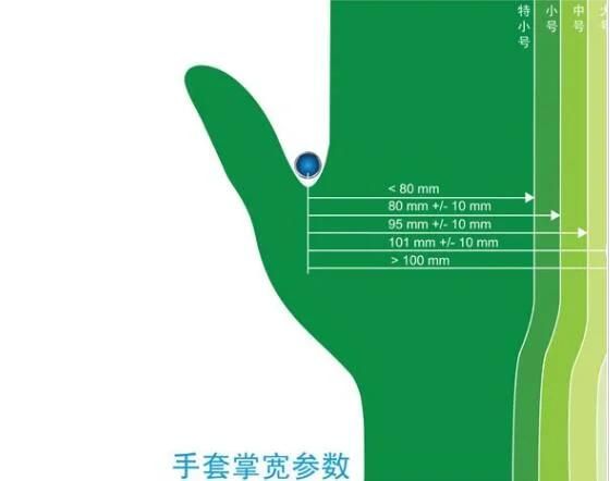 Disposbalble Gloves Supplier for Latex Powdered Examination Glovebulk Hot Seller Free Sample Surgical Biodegradable Disposable Rubber Care Latex Gloves