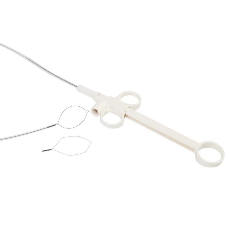 Endoscopy Emr or ESD Instruments Disposable Polypectomy Snare