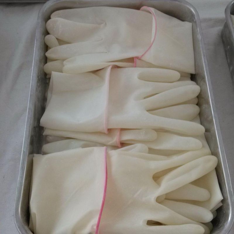 Powder Free Latex Surgical Gloves