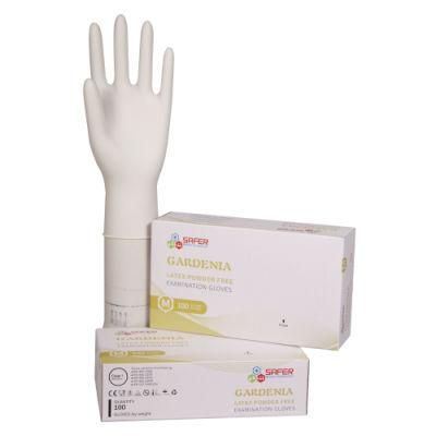 Latex Glove with Powder Free From Malaysia for Food Handle