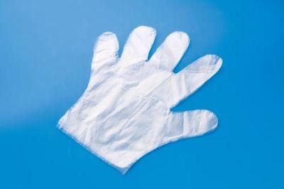 Disposable Clear Gloves Disposable PE Plastic Gloves Transparent PE TPE CPE Disposable Gloves