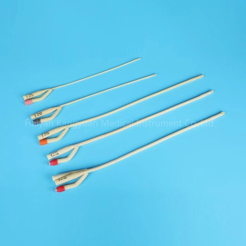 2 Way or 3 Way Silicone Coated Latex Foley Catheter Rubber/ Plastic Valve