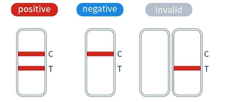 Antigen Rapid Diagnostic Test Self Testing Kits 5 Test