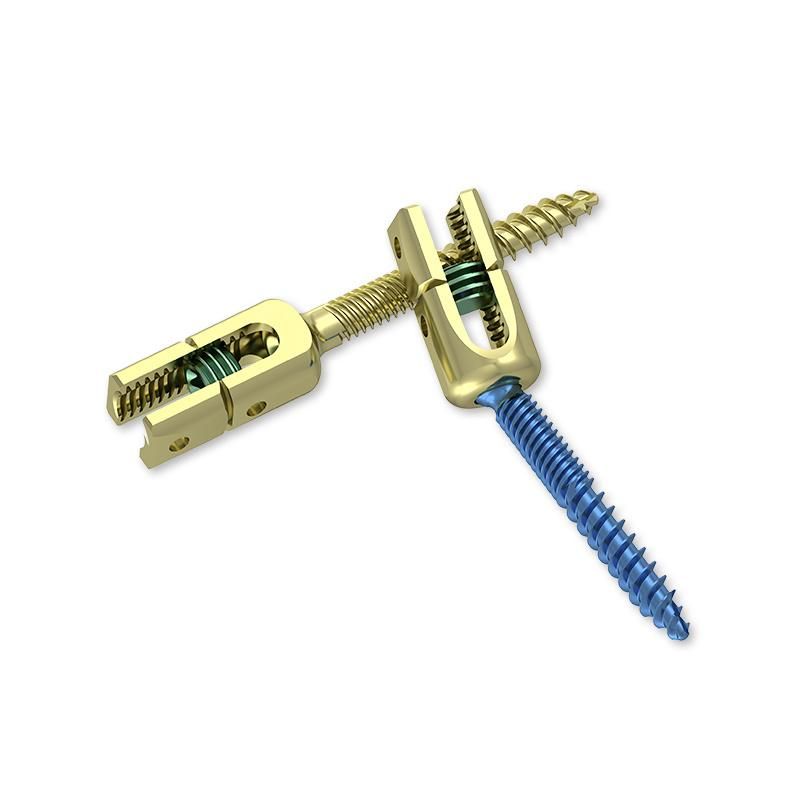 Monoaxial&Polyaxial Reduction Pedicle Screw I Spine Screw Factory Price