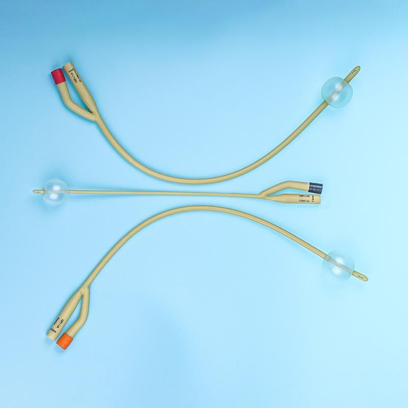 Single Use Medical 2 Way Standard Silicone Catheter Foley Kit