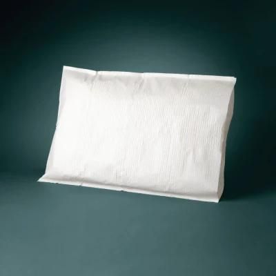 China Travel Size Waterproof Tissue Poly Pillow Cover with ISO9001 for Home