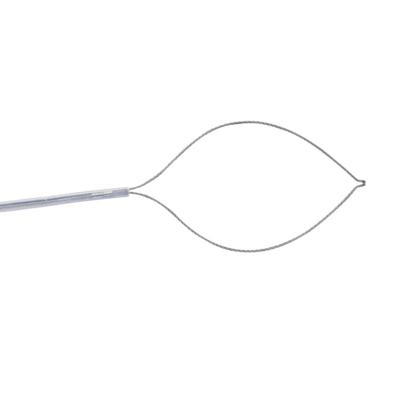 Gastroenterology Oval Type Non Rotatable Cold Polypectomy Snare