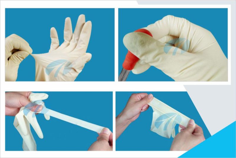 Disposable Medical Powered and Power Free Guantes Des Latex Malaysia Latex Examination Gloves Price