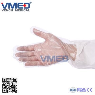 Transparent PE Plastic Waterproof Glove