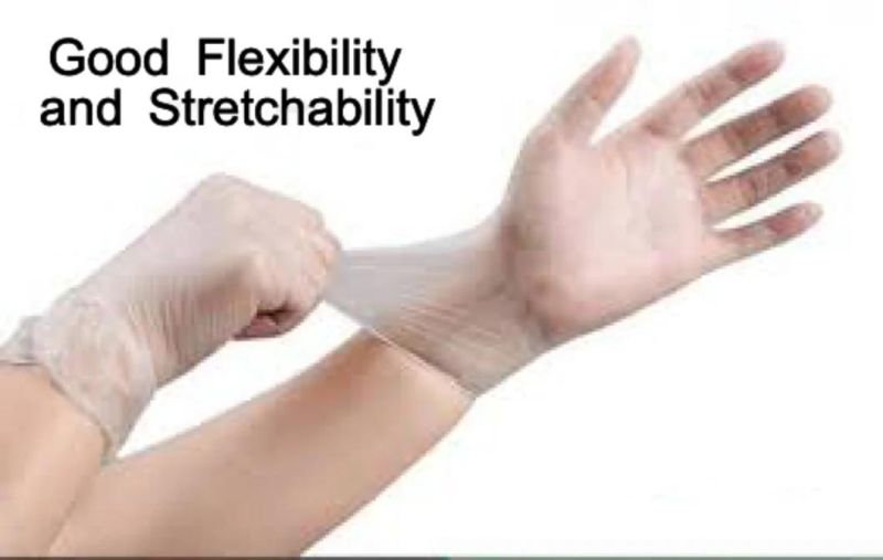 Powder Free Disposable Vinyl Examination Gloves PVC Gloves with CE FDA