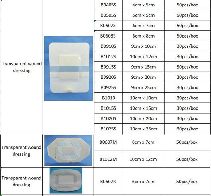 Medical Transparent Wound Dressing with Absorbent Pad