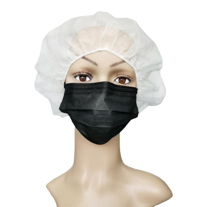 Electronic Industry Workshop Polypropylene Non-Woven High Quality Disposable Breathing Protective Soft Healthcare Food Service Fashion Face Mask