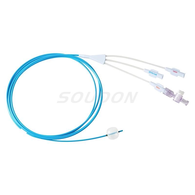 Medical Supply CE Marked Ercp Stone Extraction Removal Balloon Catheter