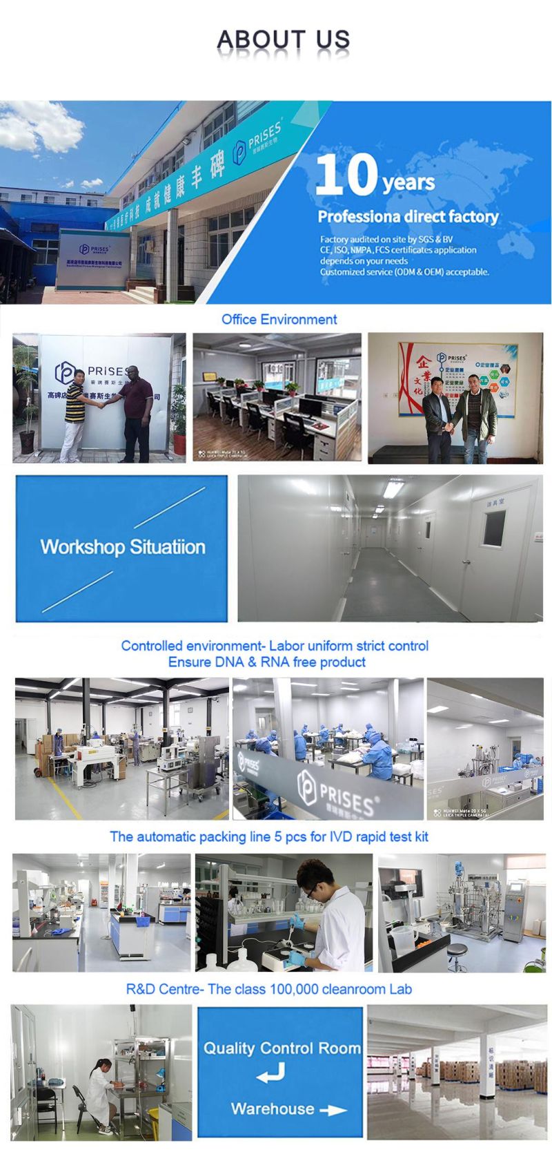 Cleanroom Sterile Collection Antigen Vtm Transport Test Disposable Non-Woven Dacron Flock Lungene Nasal Collection Swab