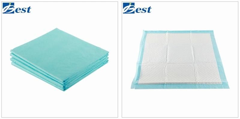 Best Chinese Puppy Training Pet Pads