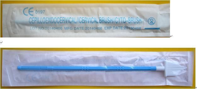 Manufacturer Gyno Brush Cyto Brush Gynecological Cervical Brush Sterile Disposable Hospital or Clinic Use