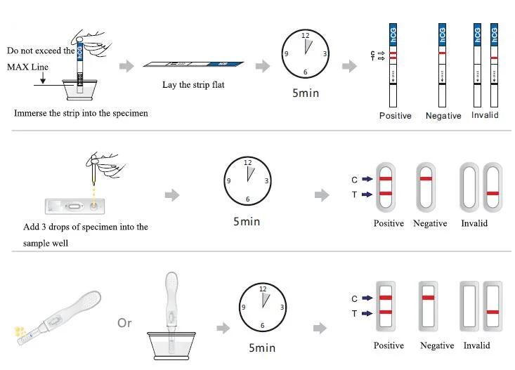 Early Pregnancy Test HCG40 Sets of Sheep Test Paper for Vrtro Detection and Judgment Only