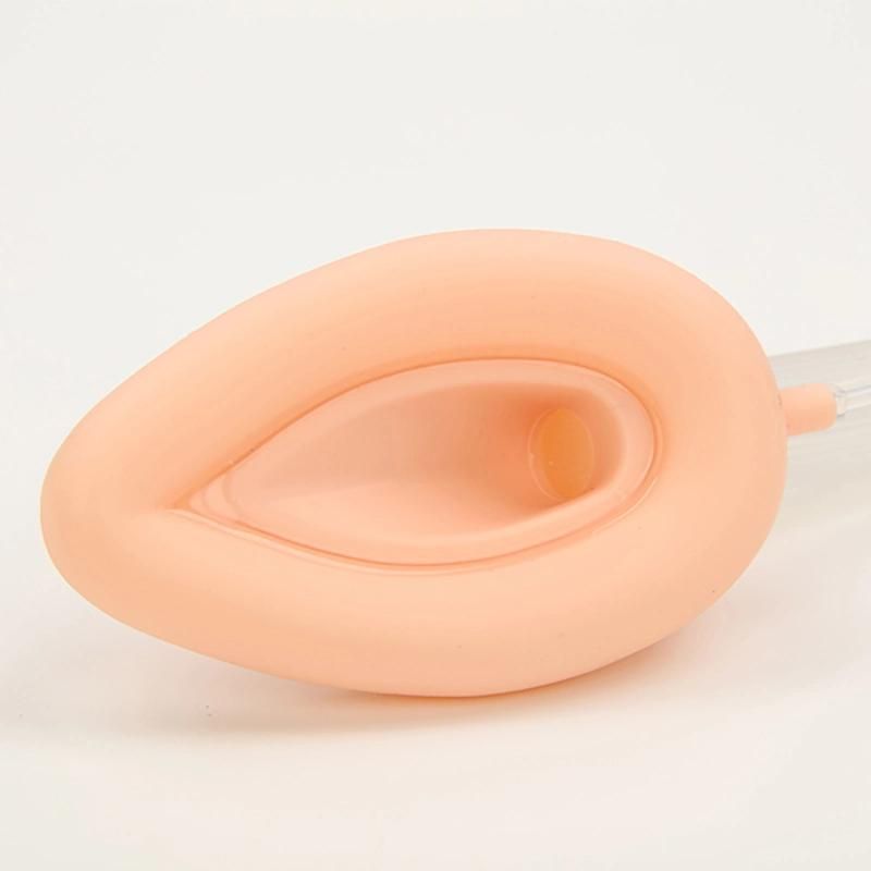 Chinese Supplier Reusable Laryngeal Mask Airway