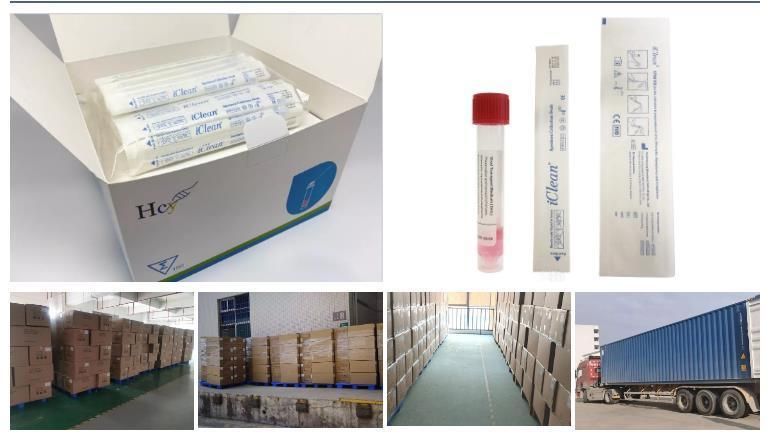 Medical Disposable Virus Sampling Tube Vtm Swabs Kits