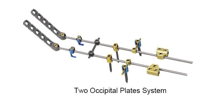 Factory Price Orthopedic Surgical Implants Occipital Plate-II for Posterior Cervical Fixation System Spinal Implant