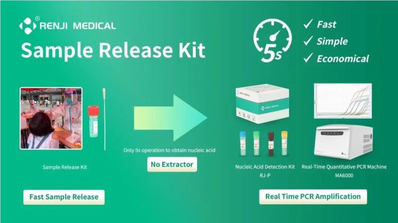 One Step Sample Release Kit for PCR