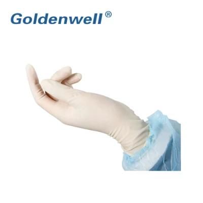 Wholesale Price Disposable Medical Waterproof Custom Latex Surgical Gloves