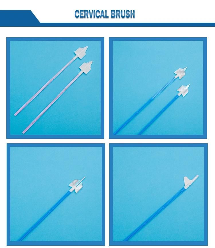 Disposable Safe Gynecological Single Use Sterile Individually Packaged Cervical Brush