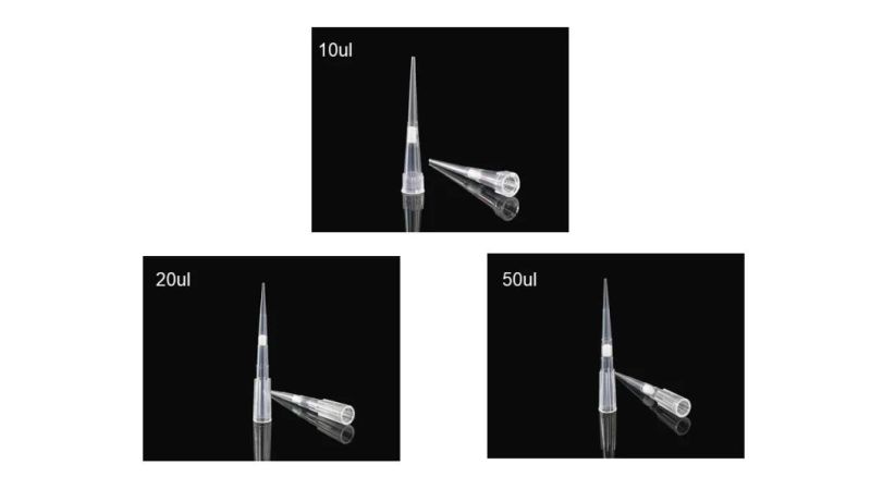 Laboratory Plastic Disposable Sterile Universal 10UL 200UL 1000UL Micro Pipette Filter Tip