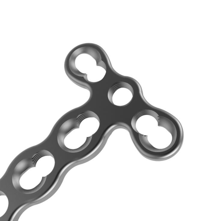 Titanium Mini Plate Orthopaedic Implants Mini Locking Plates, Mini Plates