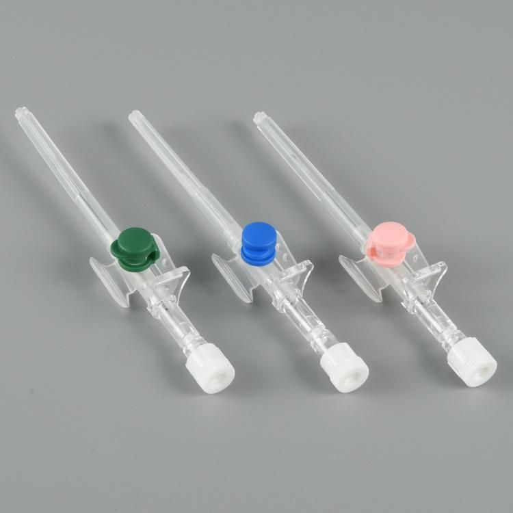 Disposable I V Cannula with Injection Port