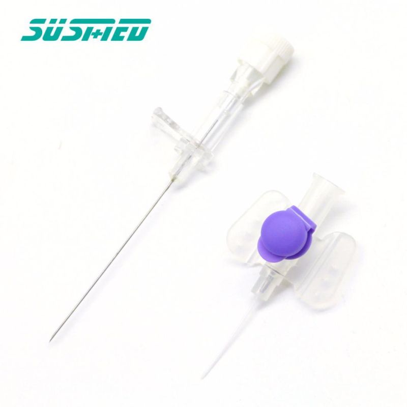 Sterilization Safety Purple IV Cannula with Wing Injection Port