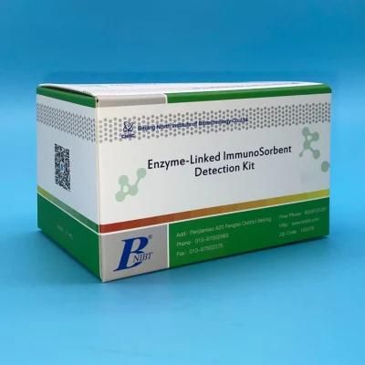 97.1% Sensitivity Hev Igm Elisa Test Kit for Virus DNA and Rna