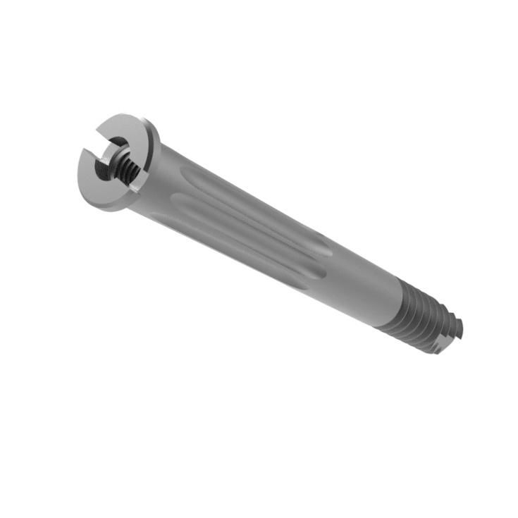 Canwell Lag Screw of Proximal Femur Nail, Lag Screw for Nails Pfn