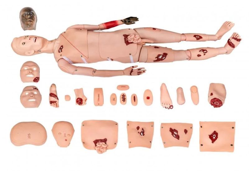 Trauma & Nursing Manikin, Full-Body Adult Nursing and Trauma Manikin