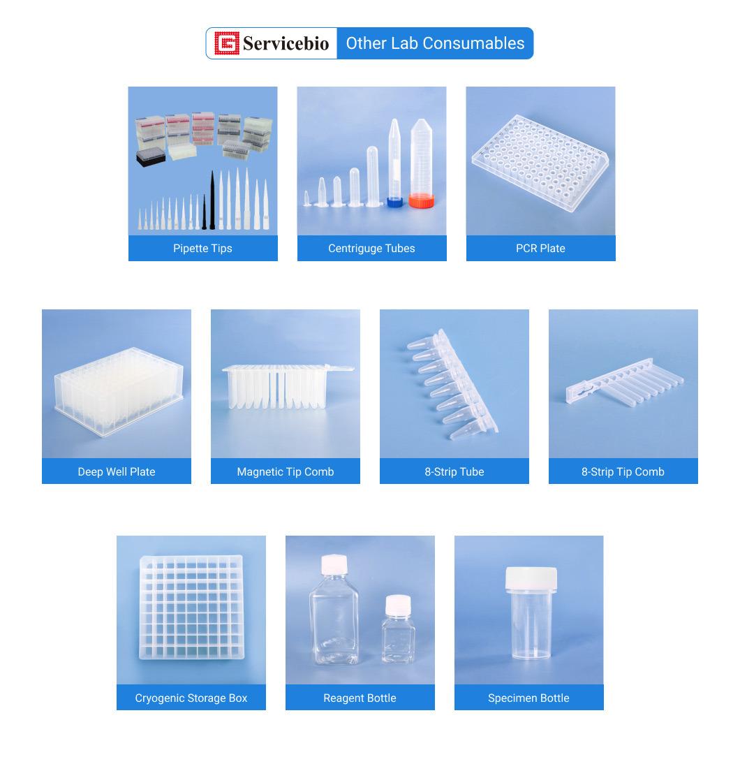 Disposable Transparant Filter Pipette Tips Sterilized 10UL/20UL/100UL/200UL/1000UL