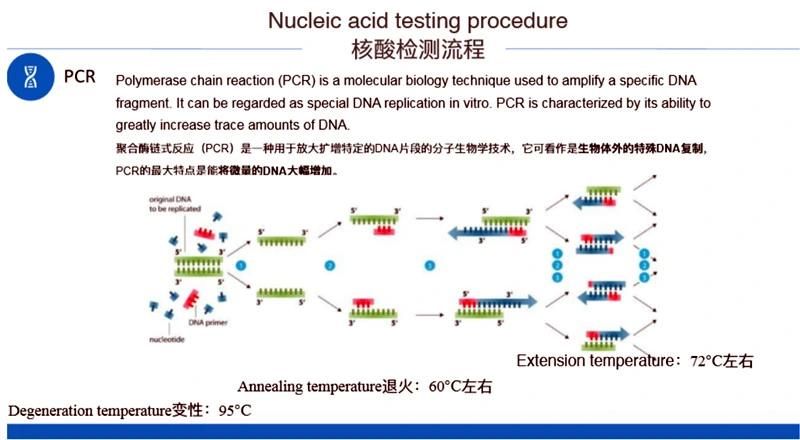 Rapid Real Time PCR Test Real-Time PCR System PCR Real Time Machine