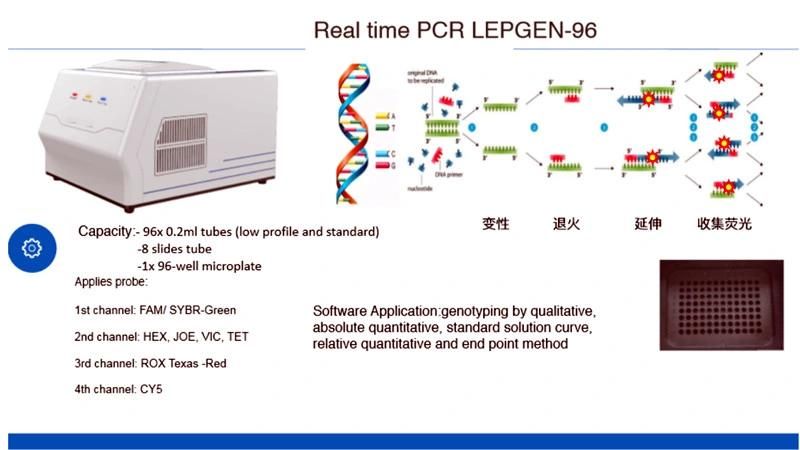 Rapid Real Time PCR Test Real-Time PCR System PCR Real Time Machine