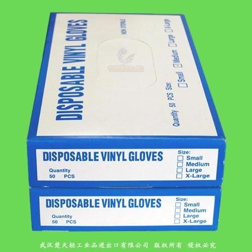 Disposable Food Service PVC Gloves