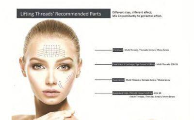 Facial Lift Beauty Needle and Thread