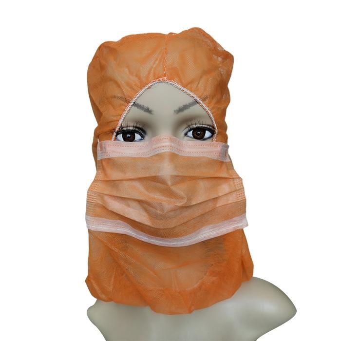 Spp Elastic Safety Single Use Head Cap Non-Woven Electronic Industry Workshop Hairnet Face Mask Beanie Hat