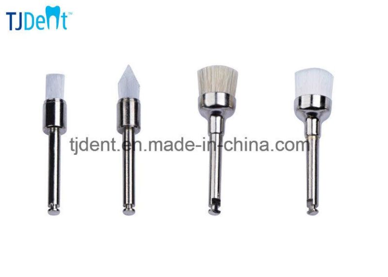 Dental Disposable Prophy Brushes Junior Ra Bristle Metal (Q268B)