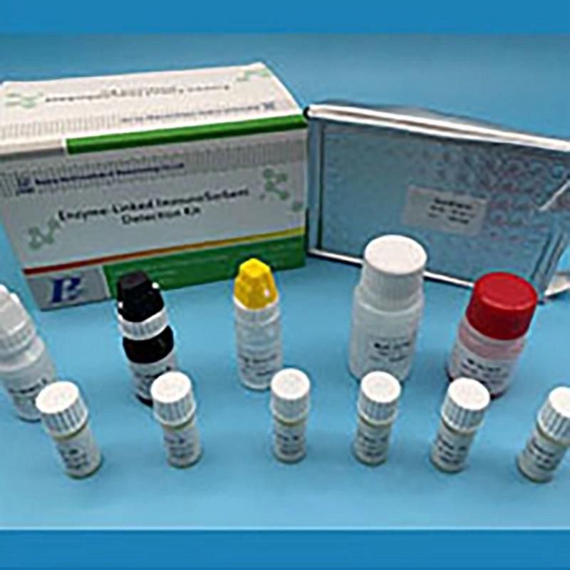 Elisa Kit Reagent Nucleic Acid Reagent Virus DNA and Rna Isolation Extraction Kit Nucleic Acid Purification Reagent