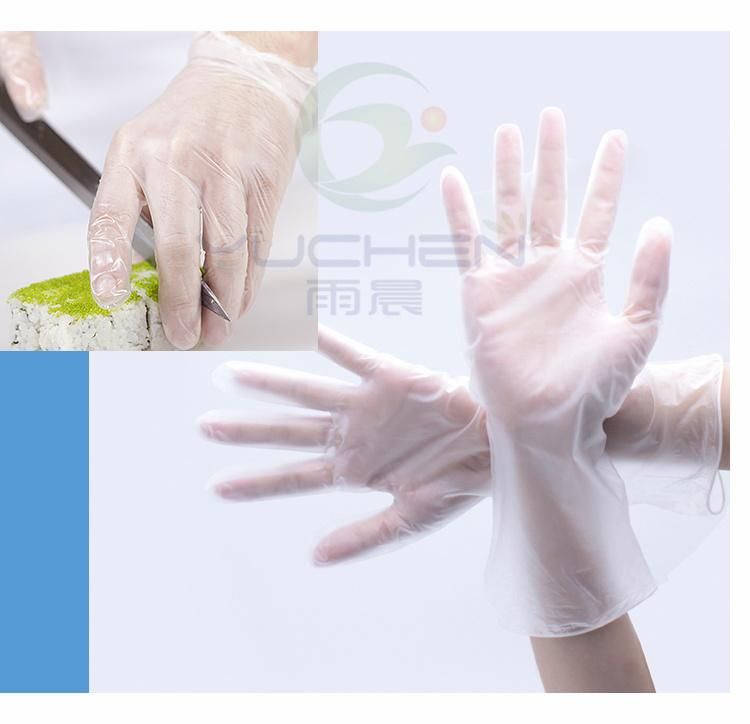 Disposable Clear/Blue Vinyl Gloves