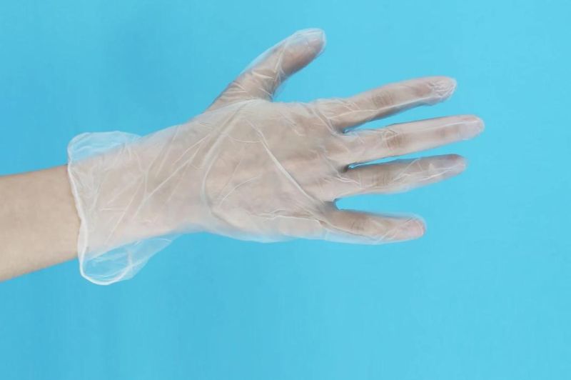 Disposable Powder Free Vinyl Gloves/Medical Disposable/Working Glove